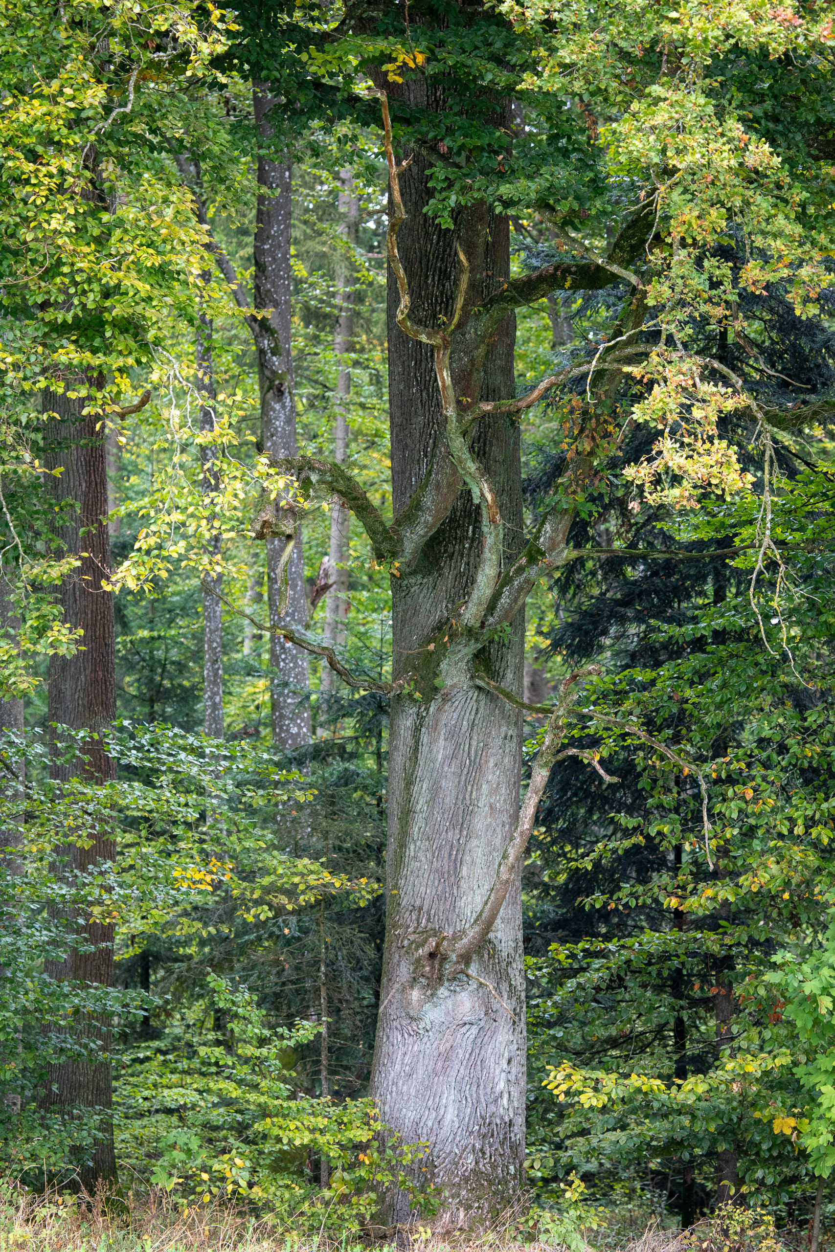 20231015103920 RD4 4742